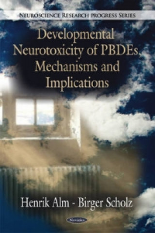 Livre Developmental Neurotoxicity of PBDEs, Mechanisms & Implications Birger Scholz