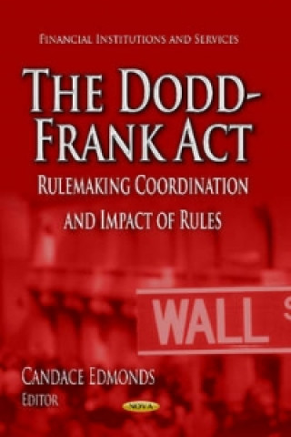 Kniha Dodd-Frank Act 