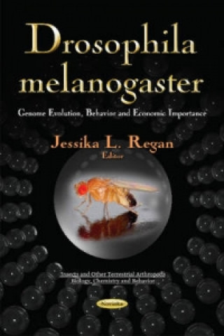 Könyv Drosophila Melanogaster 