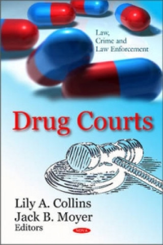 Kniha Drug Courts 