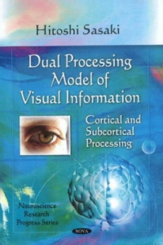 Könyv Dual Processing Model of Visual Information Hitoshi Sasaki
