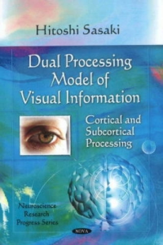 Buch Dual Processing Model of Visual Information Hitoshi Sasaki