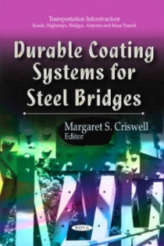 Buch Durable Coating Systems for Steel Bridges 