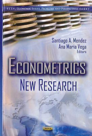 Kniha Econometrics 