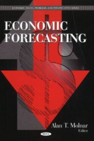 Kniha Economic Forecasting 