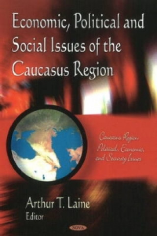 Kniha Economic, Political & Social Issues of the Caucasus Region 