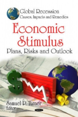 Buch Economic Stimulus 