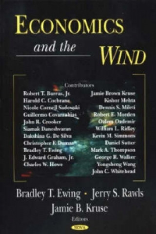 Книга Economics & the Wind 