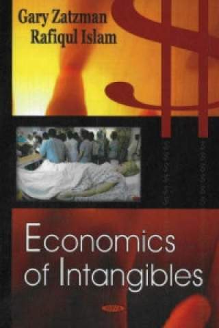 Könyv Economics of Intangibles Rafiqul Islam