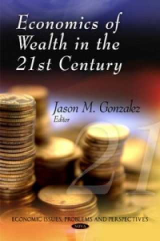 Könyv Economics of Wealth in the 21st Century 
