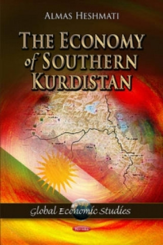 Kniha Economy of Southern Kurdistan Almas Heshmati