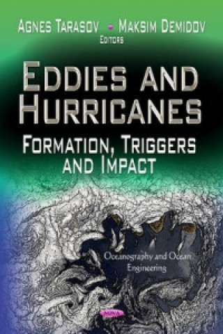 Könyv Eddies & Hurricanes 