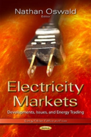Könyv Electricity Markets 