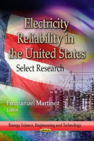 Książka Electricity Reliability in the United States 