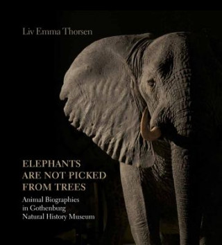 Książka Elephants Are Not Picked from Trees Liv Emma Thorsen