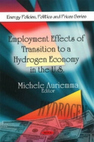 Kniha Employment Effects of Transition to a Hydrogen Economy in the U.S. 