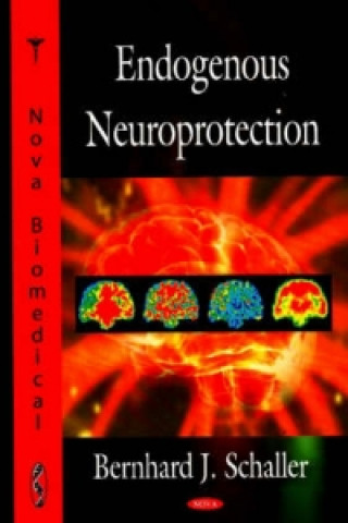 Kniha Endogenous Neuroprotection Bernhard Schaller