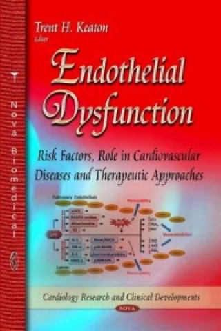 Könyv Endothelial Dysfunction 