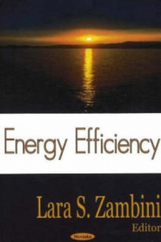 Livre Energy Efficiency 