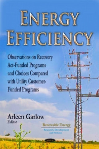 Book Energy Efficiency 