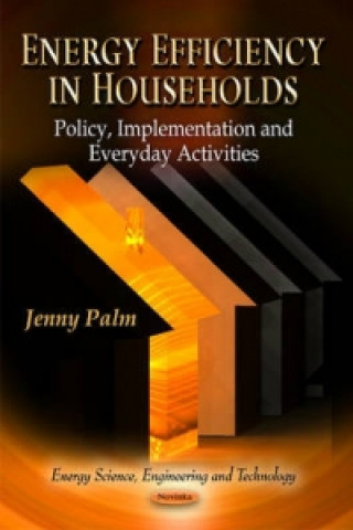 Kniha Energy Efficiency in Households Jenny Palm