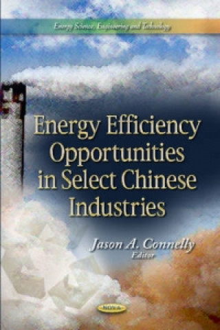 Kniha Energy Efficiency Opportunities in Select Chinese Industries 