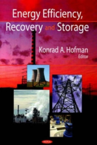Könyv Energy Efficiency, Recovery & Storage 