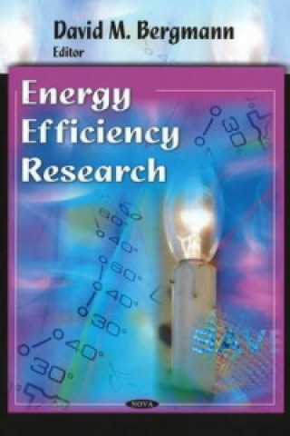 Kniha Energy Efficiency Research David M. Bergmann