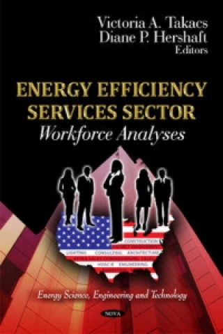 Carte Energy Efficiency Services Sector 