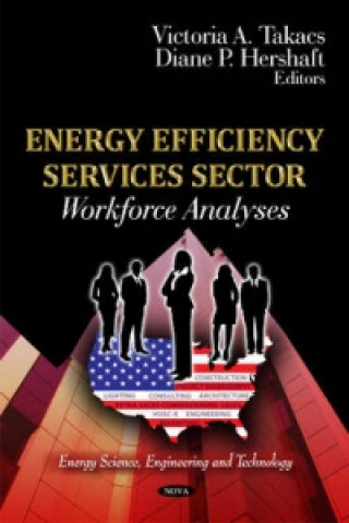 Knjiga Energy Efficiency Services Sector 