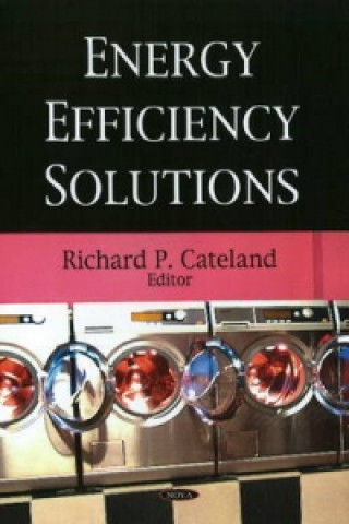 Книга Energy Efficiency Solutions 