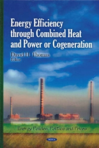 Buch Energy Efficiency Through Combined Heat & Power or Cogeneration 