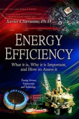 Könyv Energy Efficiency Xavier Chavanne
