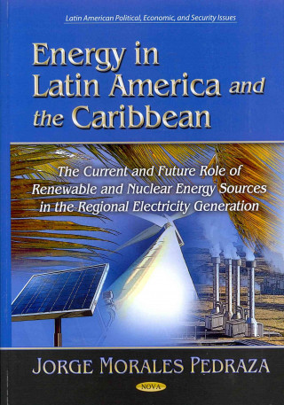 Kniha Energy in Latin America & the Caribbean 