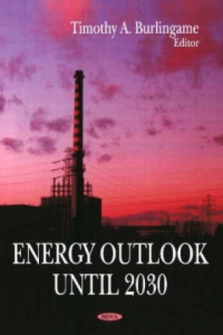 Kniha Energy Outlook Until 2030 