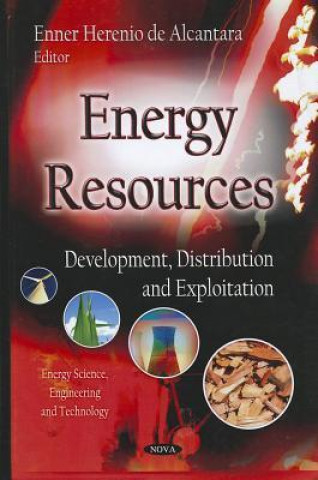 Knjiga Energy Resources Enner Herenio de Alcantara