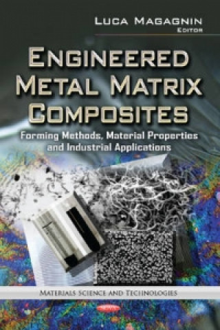 Knjiga Engineered Metal Matrix Composites 