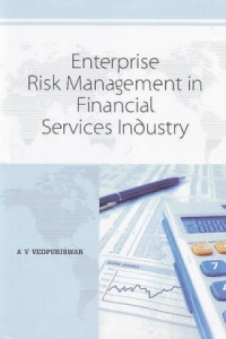 Kniha Enterprise Risk Management in Financial Services Industry 