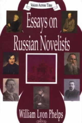 Kniha Essays on Russian Novelists 