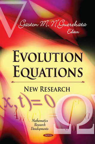 Książka Evolution Equations 