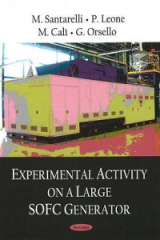 Könyv Experimental Activity on a Large SOFC Generator 