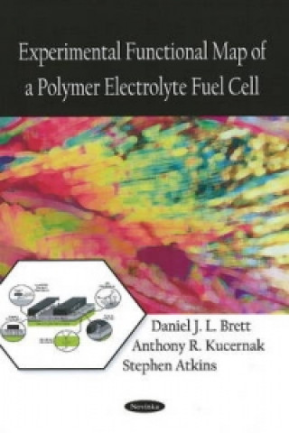 Książka Experimental Functional Map of a Polymer Electrolyte Fuel Cell Stephen Atkins