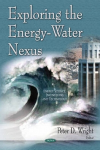 Knjiga Exploring the Energy-Water Nexus 