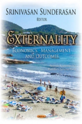 Libro Externality Srinivasan Sunderasan