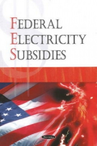 Kniha Federal Electricity Subsidies Government Accountability Office