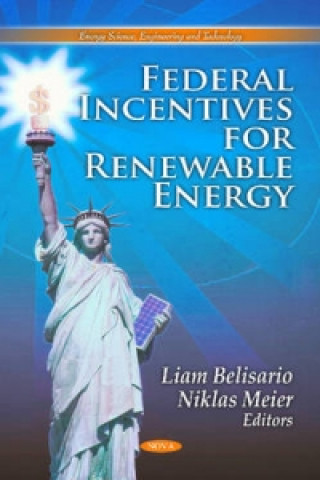 Buch Federal Incentives for Renewable Energy 