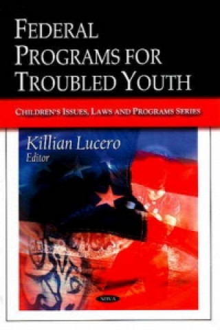 Libro Federal Programs for Troubled Youth 