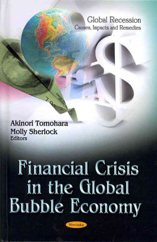 Kniha Financial Crisis in the Global Bubble Economy 