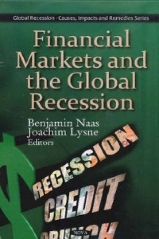 Книга Financial Markets & the Global Recession 