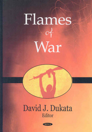 Kniha Flames of War David J Dukata